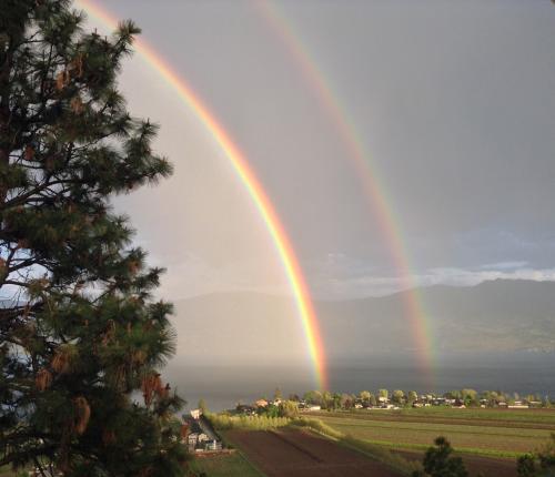 View of Double Rainbow 